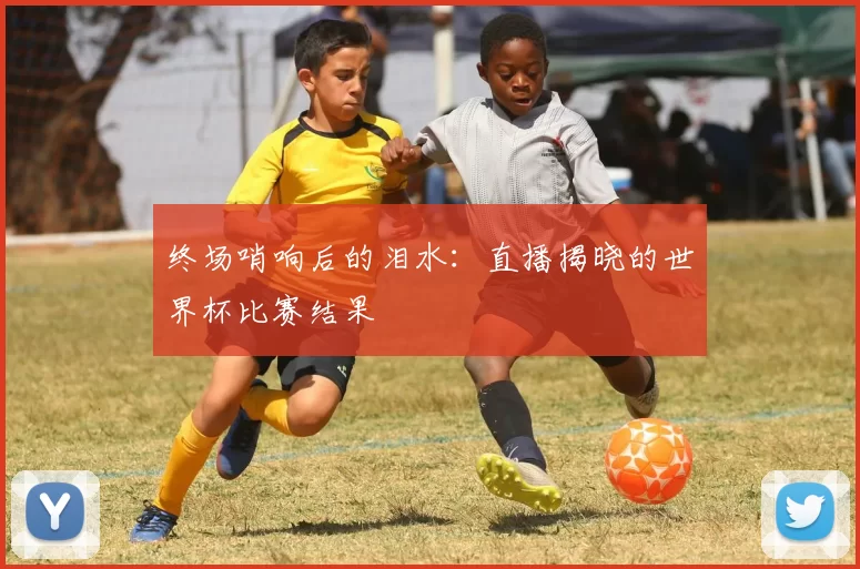 终场哨响后的泪水:直播揭晓的世界杯比赛结果