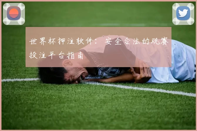 世界杯押注软件:安全合法的观赛投注平台指南