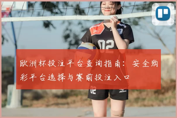 欧洲杯投注平台查询指南:安全购彩平台选择与赛前投注入口