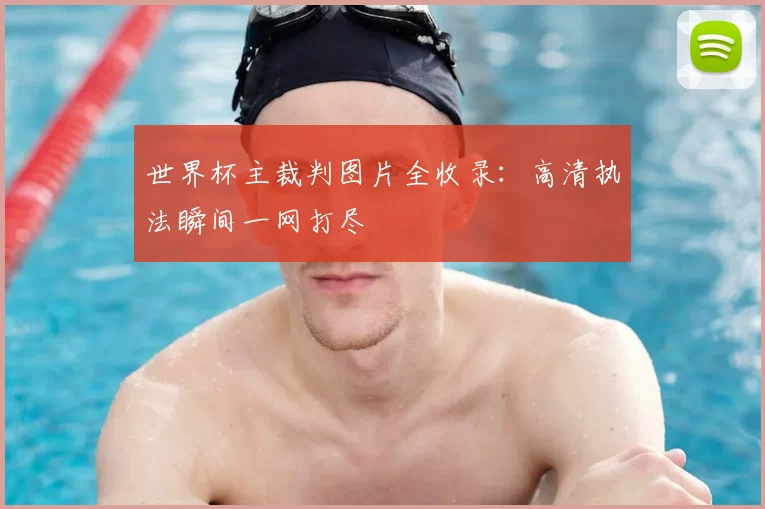 世界杯主裁判图片全收录:高清执法瞬间一网打尽