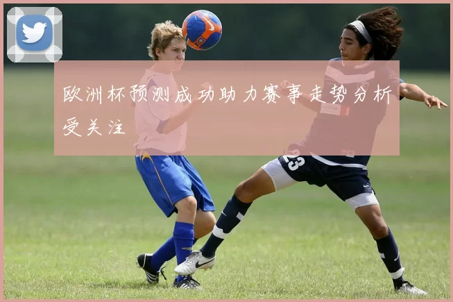 欧洲杯预测成功助力赛事走势分析受关注
