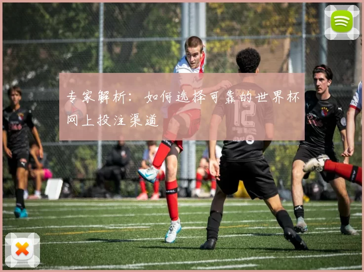 专家解析:如何选择可靠的世界杯网上投注渠道