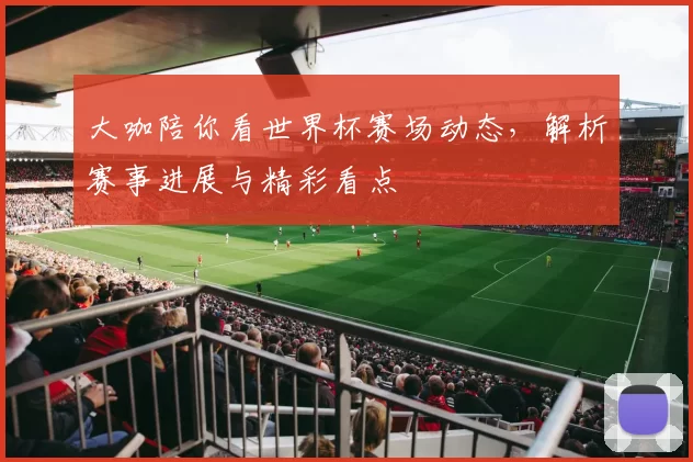 大咖陪你看世界杯赛场动态,解析赛事进展与精彩看点