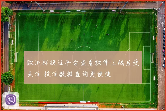 欧洲杯投注平台查看软件上线后受关注 投注数据查询更便捷