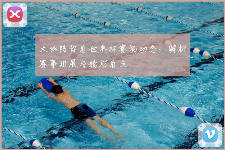 大咖陪你看世界杯赛场动态,解析赛事进展与精彩看点