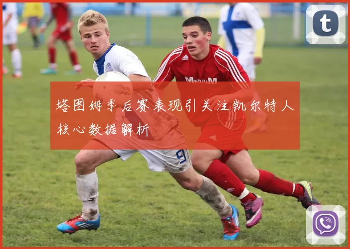 塔图姆季后赛表现引关注凯尔特人核心数据解析
