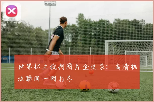 世界杯主裁判图片全收录:高清执法瞬间一网打尽