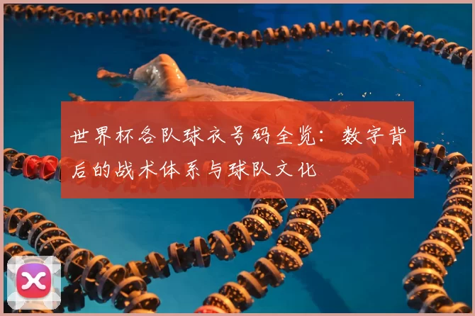 世界杯各队球衣号码全览:数字背后的战术体系与球队文化