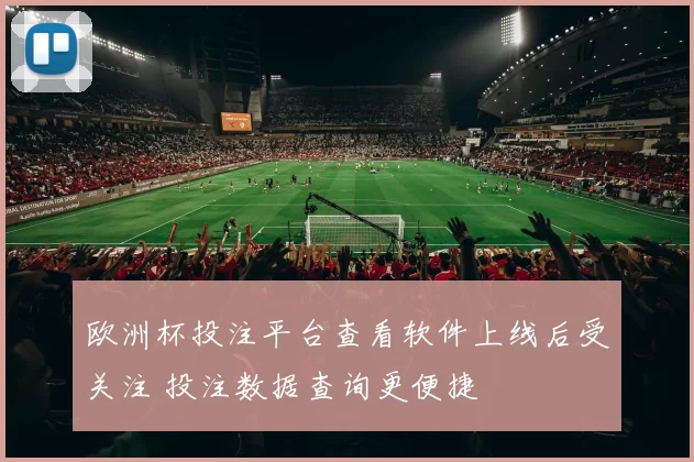 欧洲杯投注平台查看软件上线后受关注 投注数据查询更便捷