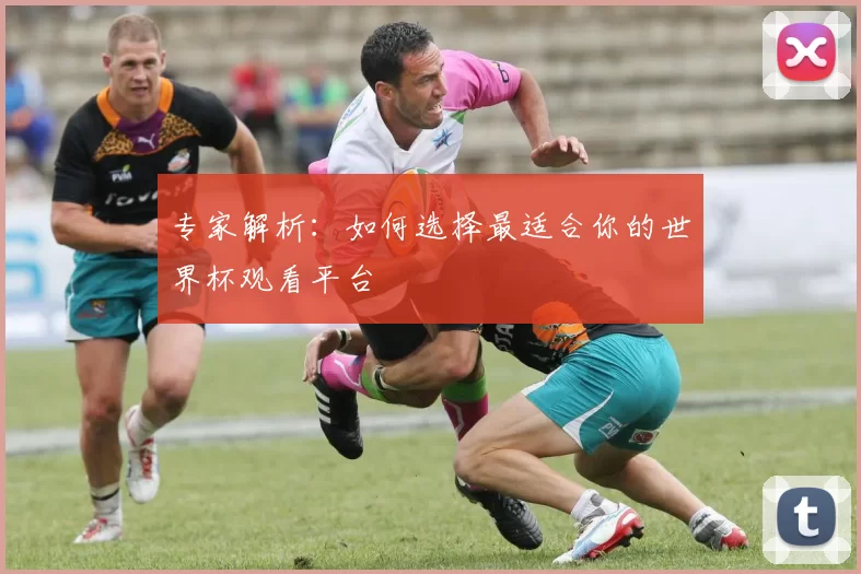专家解析:如何选择最适合你的世界杯观看平台