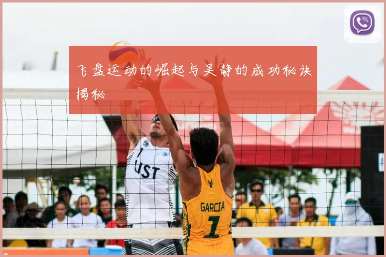 飞盘运动的崛起与吴静的成功秘诀揭秘