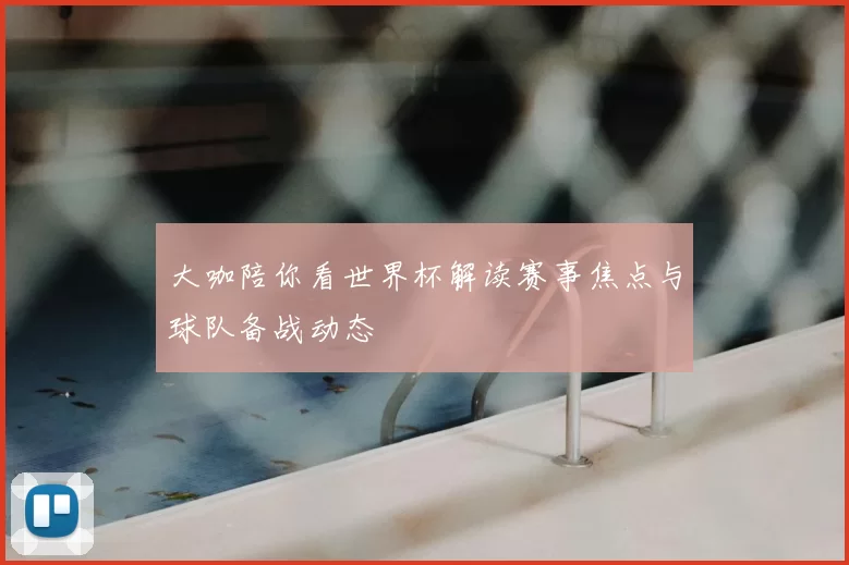 大咖陪你看世界杯解读赛事焦点与球队备战动态