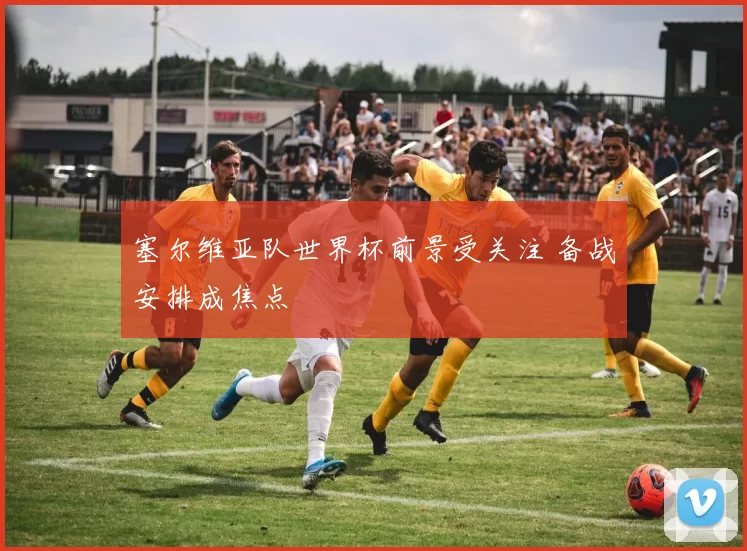 塞尔维亚队世界杯前景受关注 备战安排成焦点