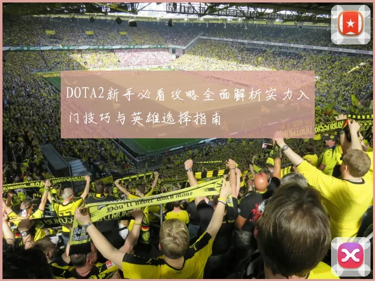 DOTA2新手必看攻略全面解析实力入门技巧与英雄选择指南