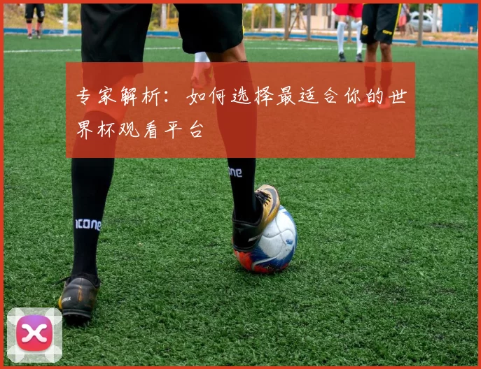 专家解析：如何选择最适合你的世界杯观看平台